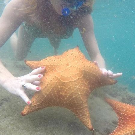 Kitnet Aconchegante A 200M Da Praia Apartment Angra dos Reis Bagian luar foto
